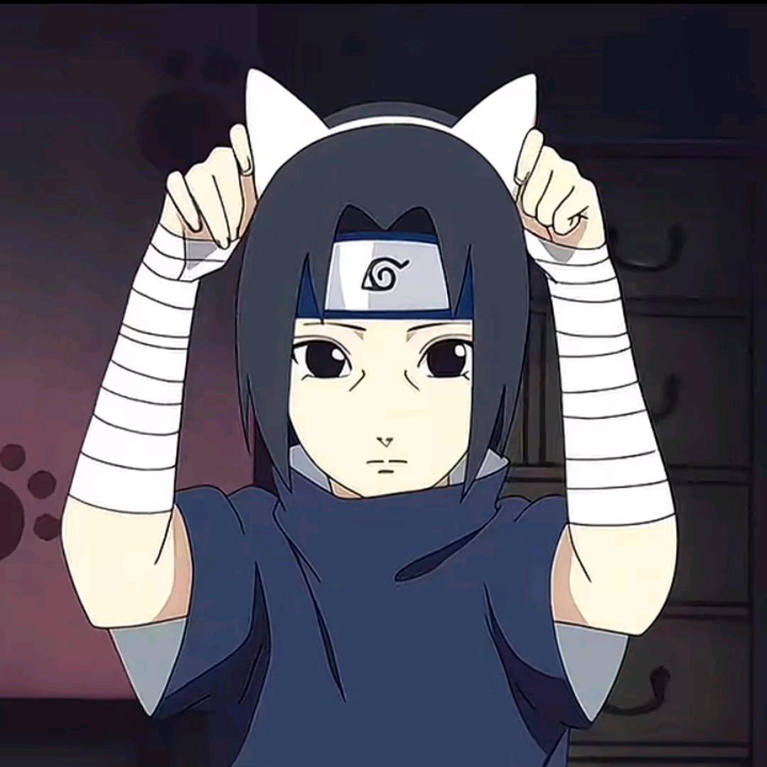 猫条