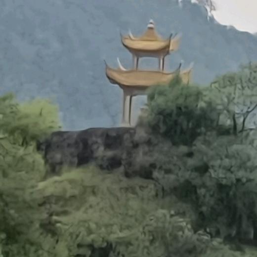 无情