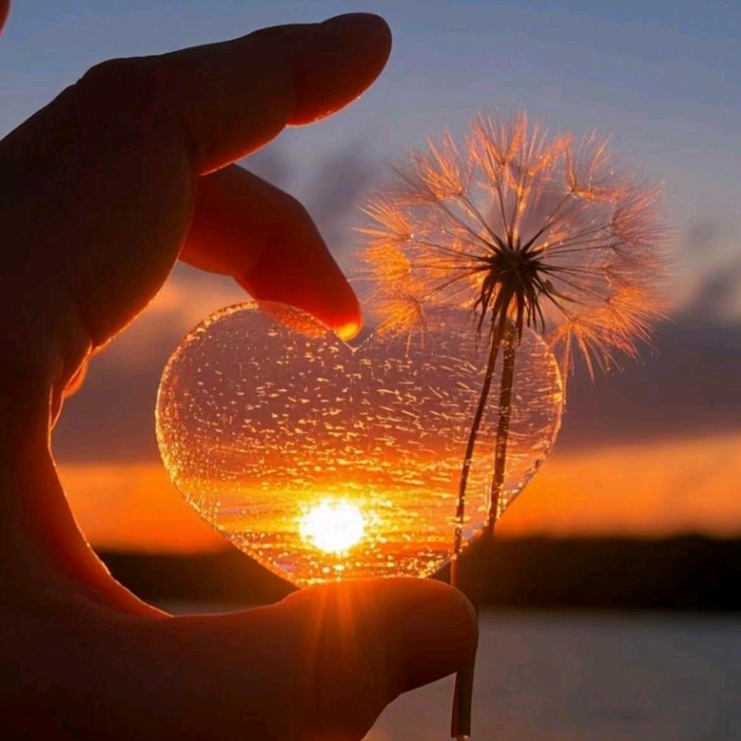 @星星会发光¤🌟