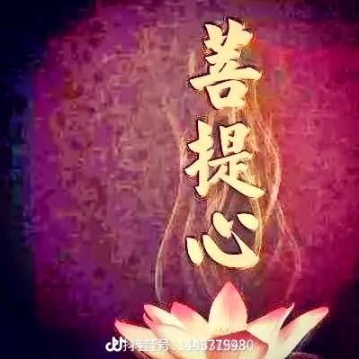 开心❤就好❤❤❤