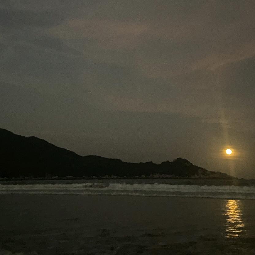 鹏鹏（三角洲）