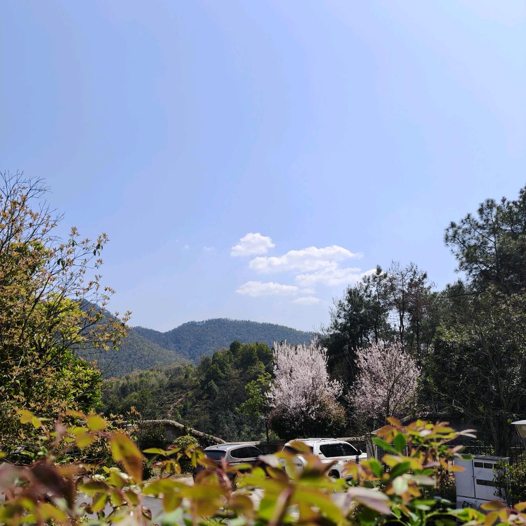 青山小舍《回乡建房一周年》