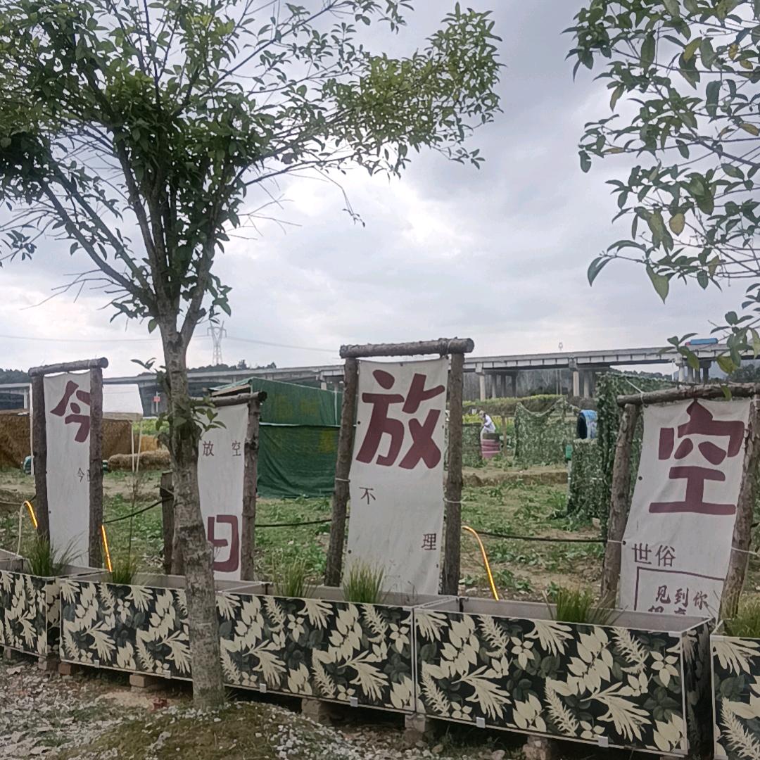 池棠小荷