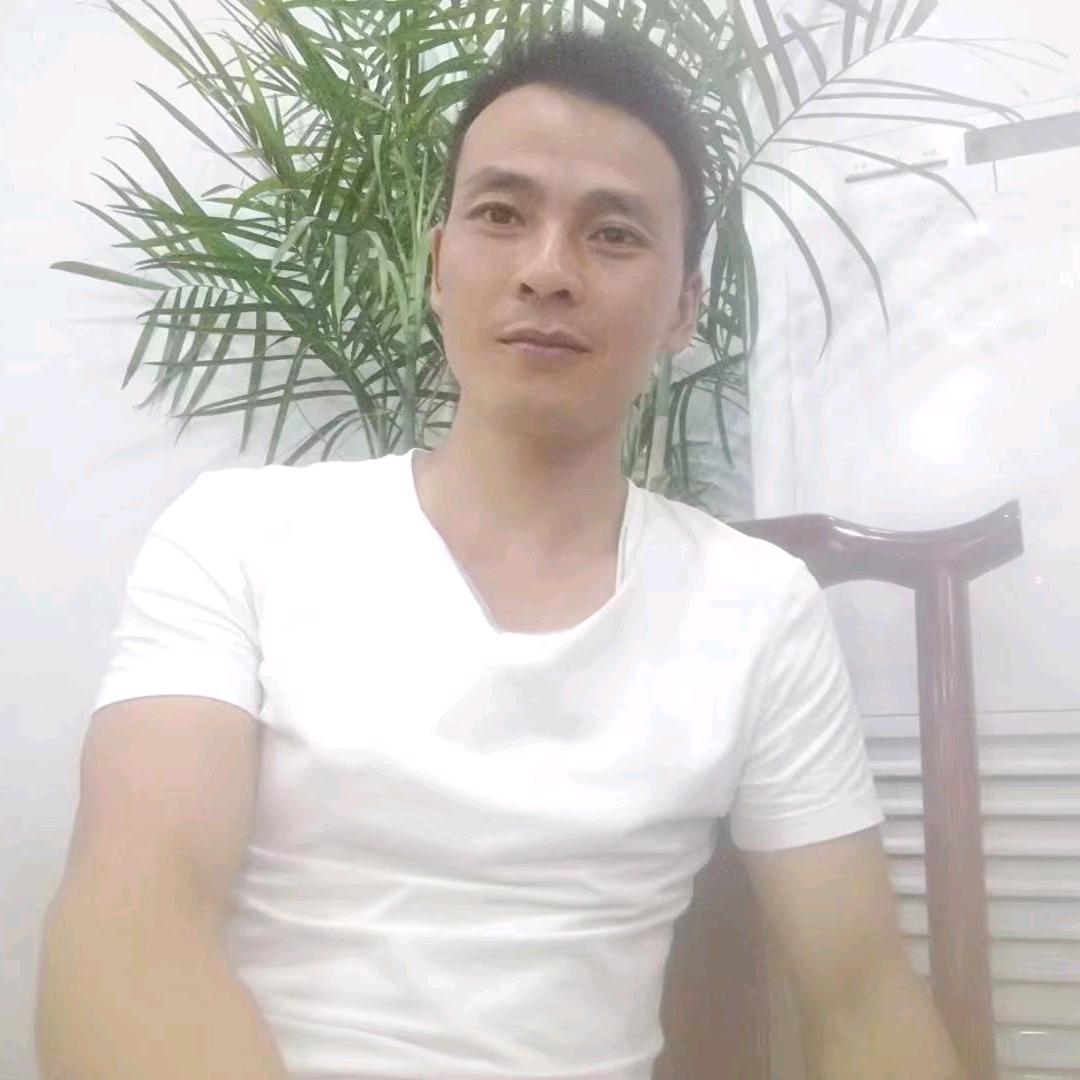 弥勒新哨燕子轮胎