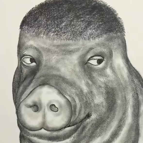 🐖🐖🐖