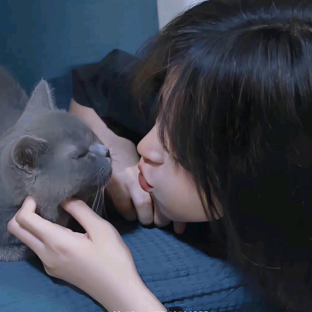 旺旺小鱼