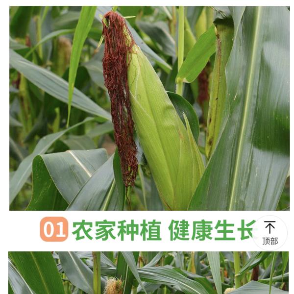 快递小哥助农