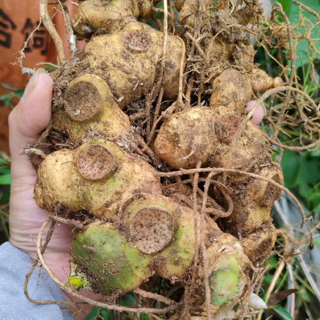 赣湘小陈（户外）