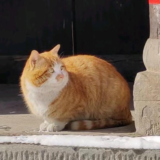 加V看蟹皇堡秘方