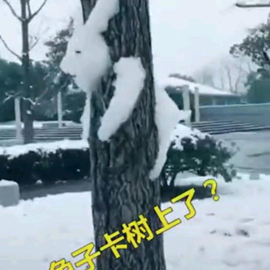 岁月的时光