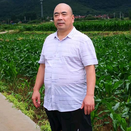 三三