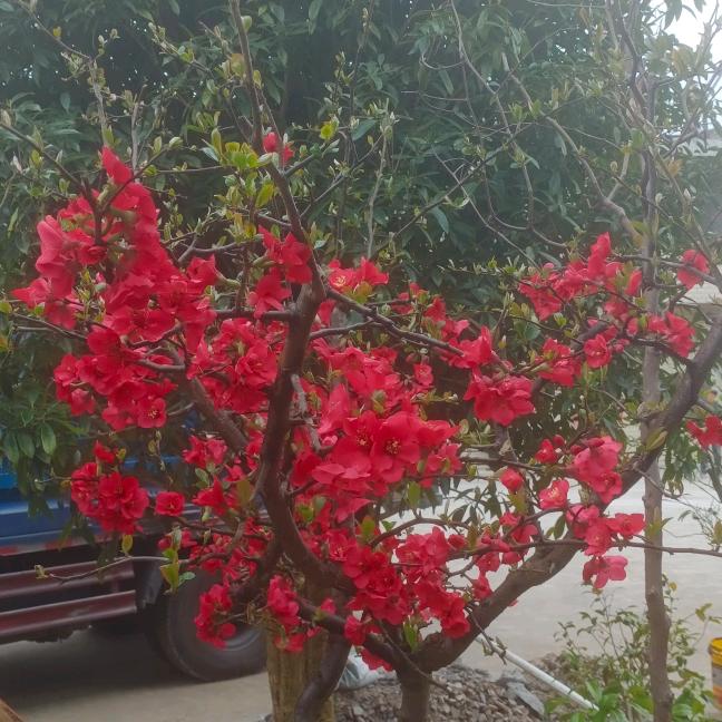 喜悦