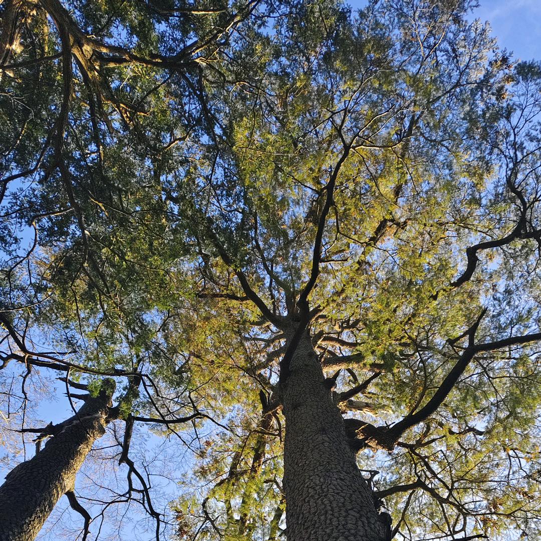 好运连连(˵¯͒〰¯͒˵)