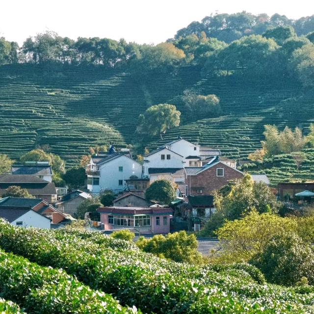 开心快乐每一天