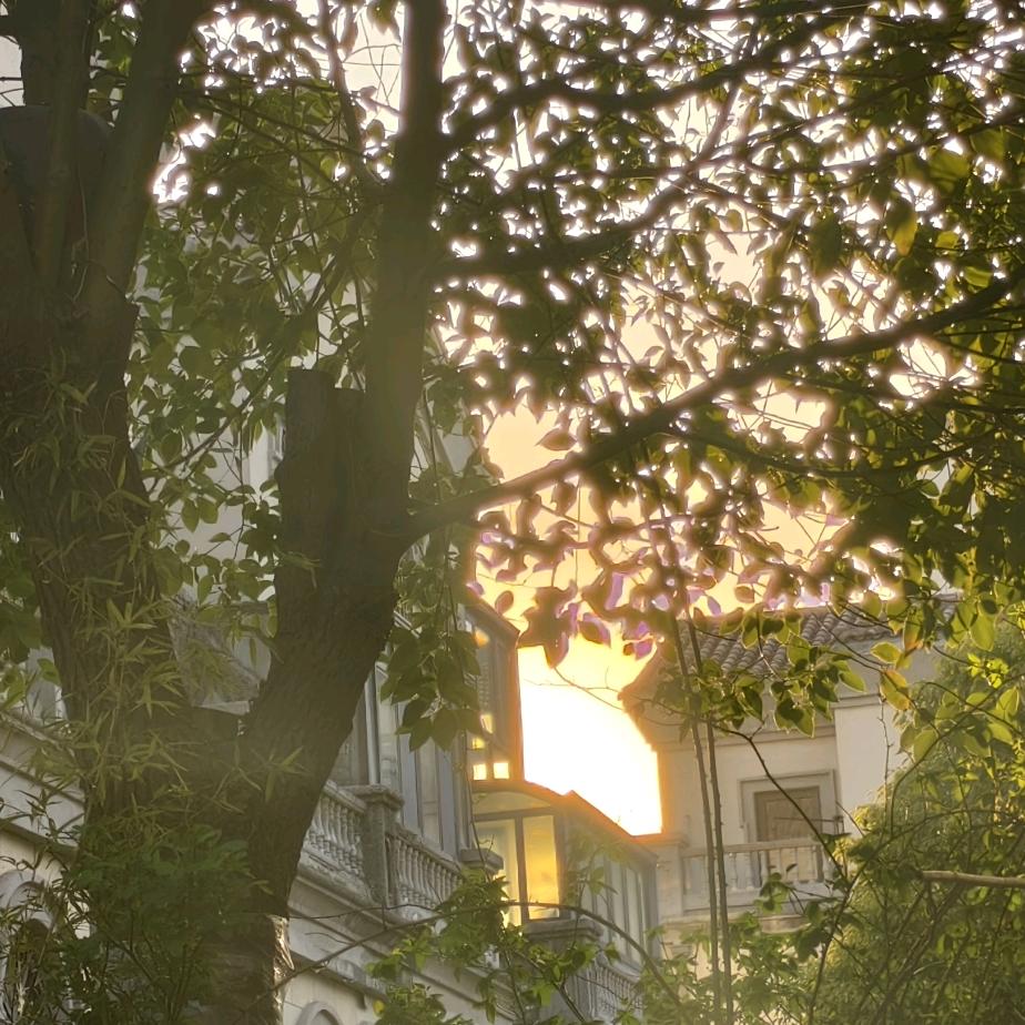 钟吾驾校 小小