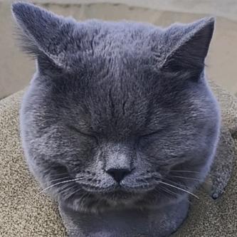 艾麦提