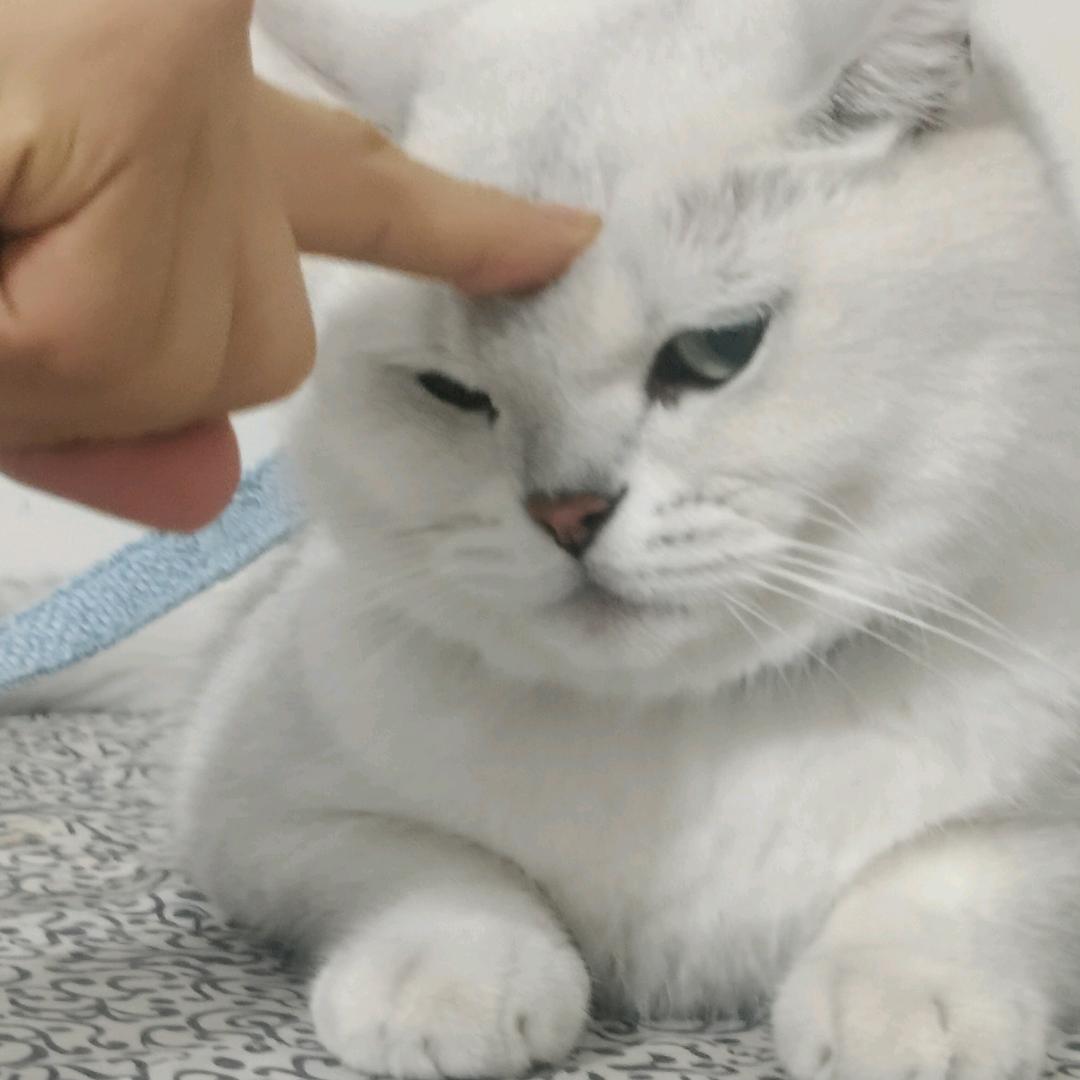 随心％