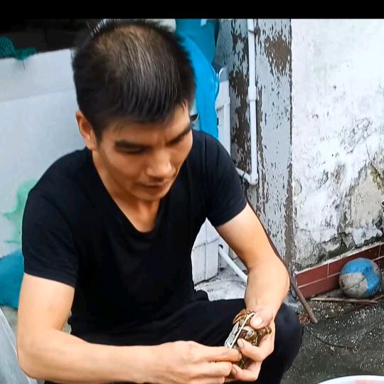 渔哥