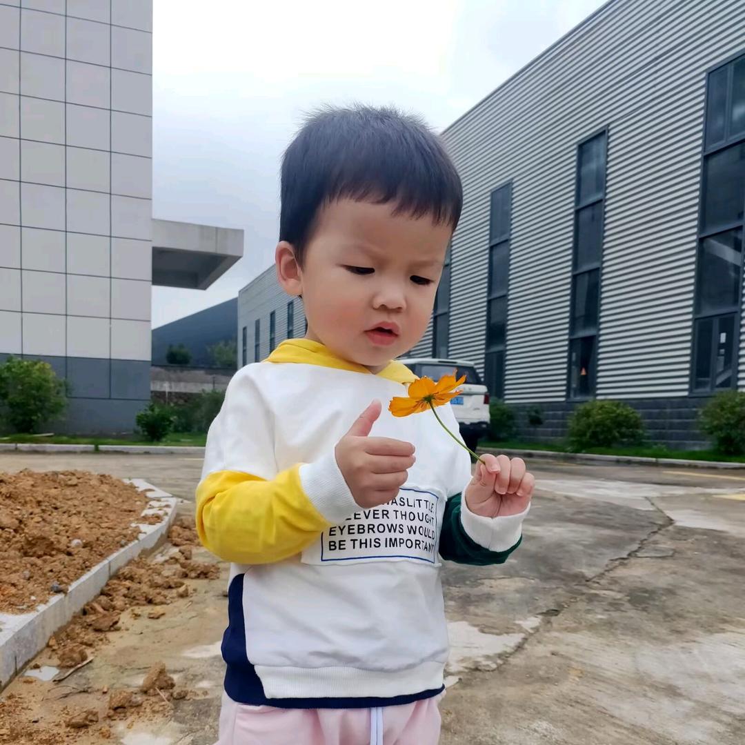 玲玲妻