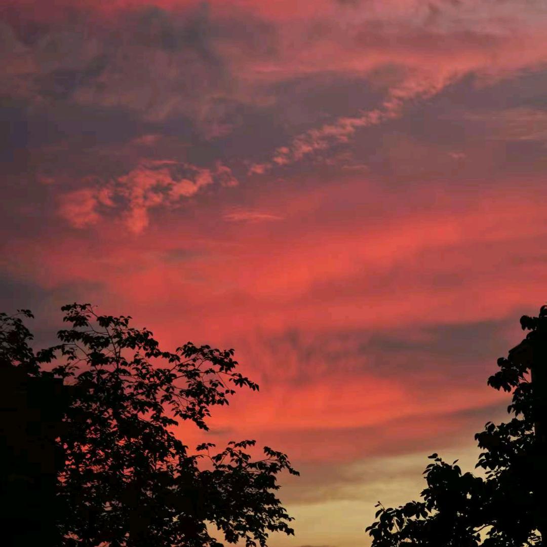 杭州中为民信陈利