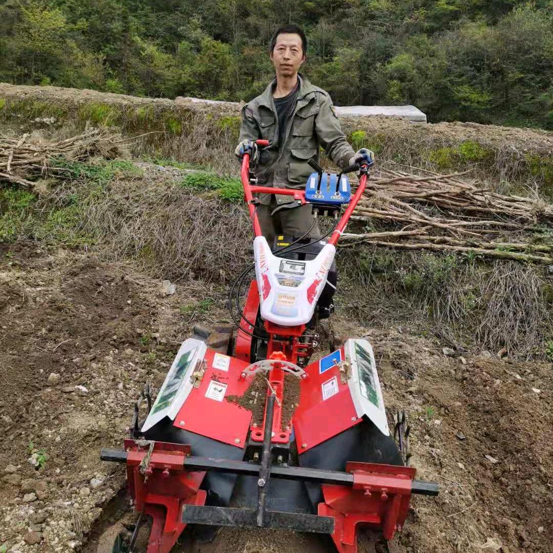 王生太