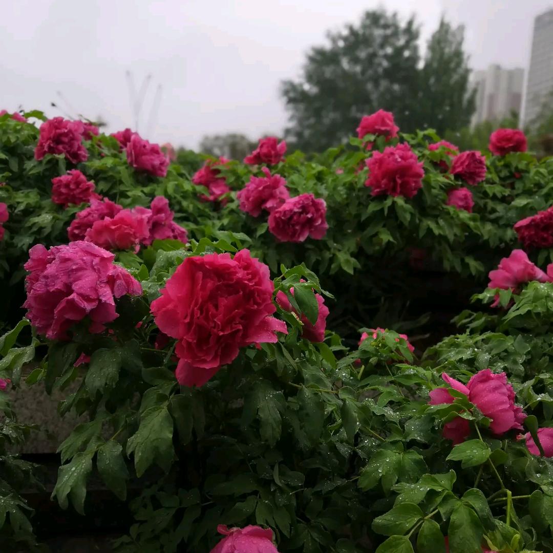 时间都去哪儿了