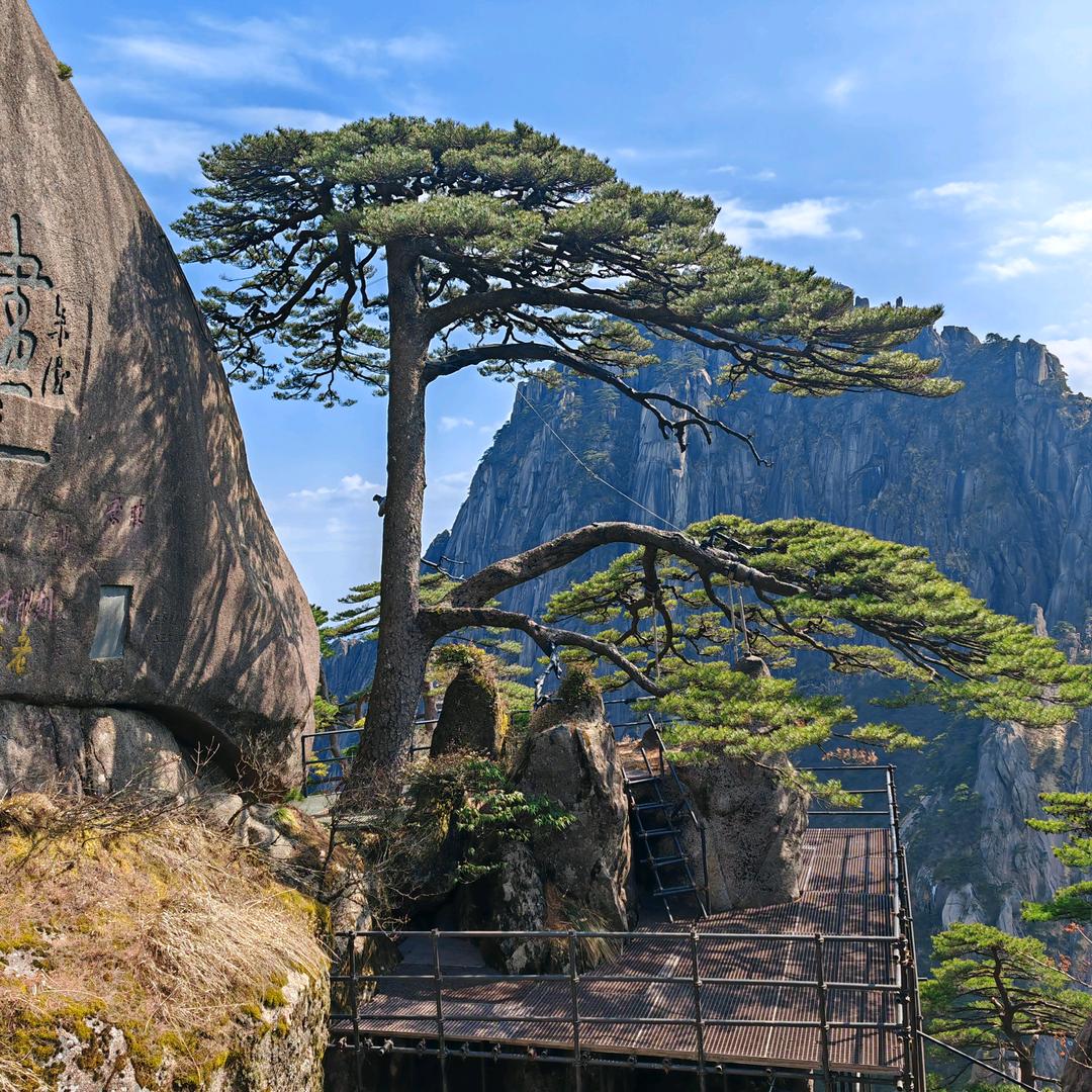 ꧁꫞心已☬冰封꫞꧂