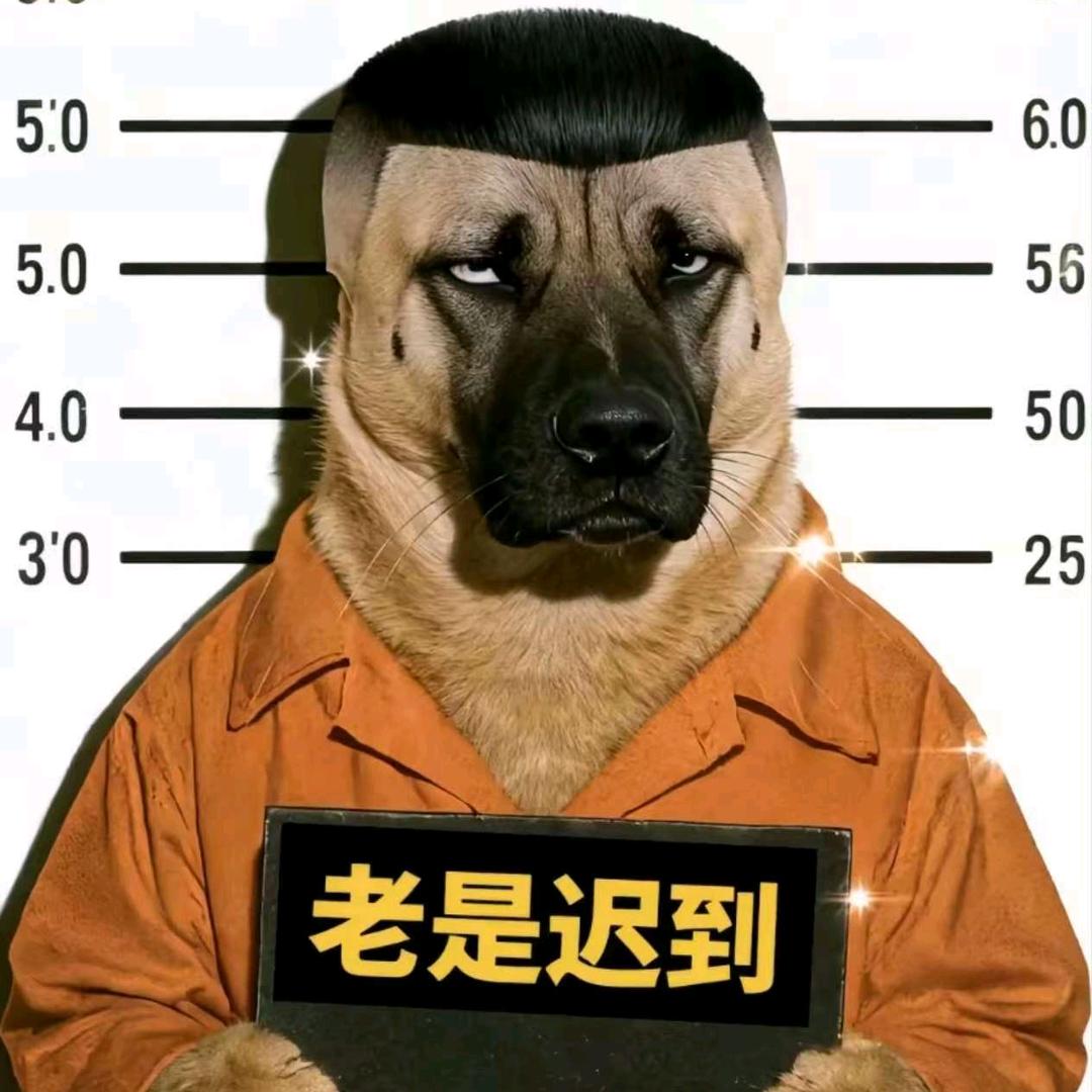 🌈明白的鸟⁹⁹⁹⁹⁹