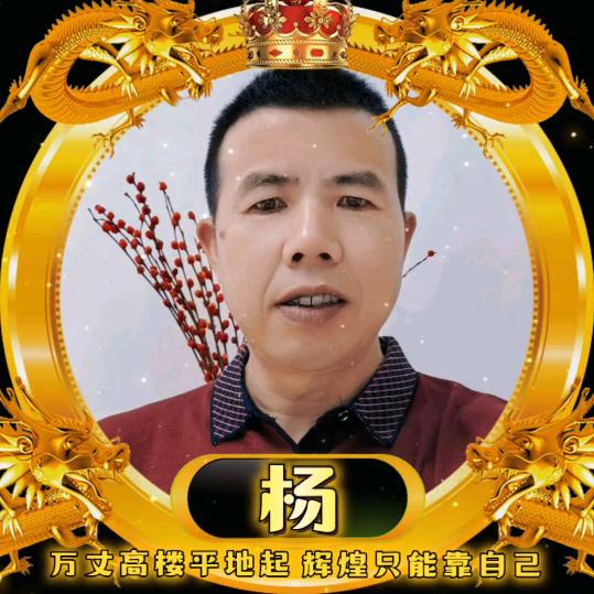 金通物流园：院内瓷砖批发（应城店）杨毛祥