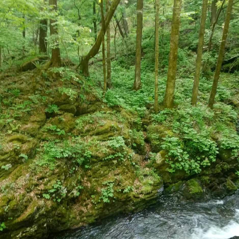 幸福安康2187344256530