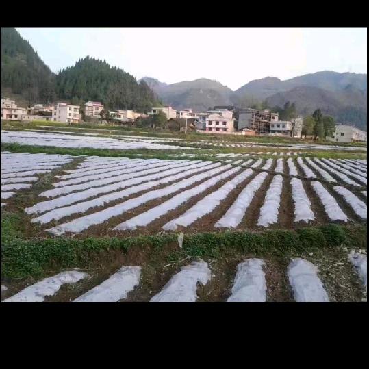 断，舍，离