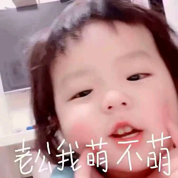 雨雨控