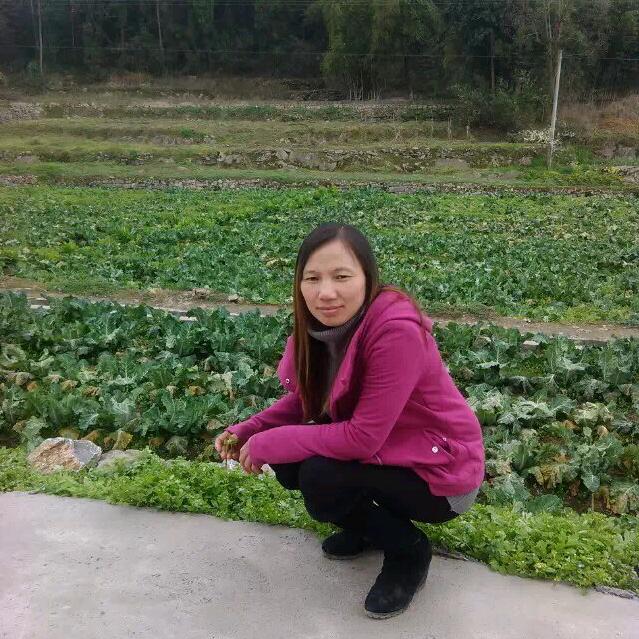 微笑面对虚伪的世界