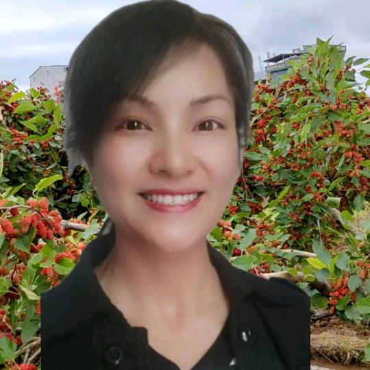 邓慈云