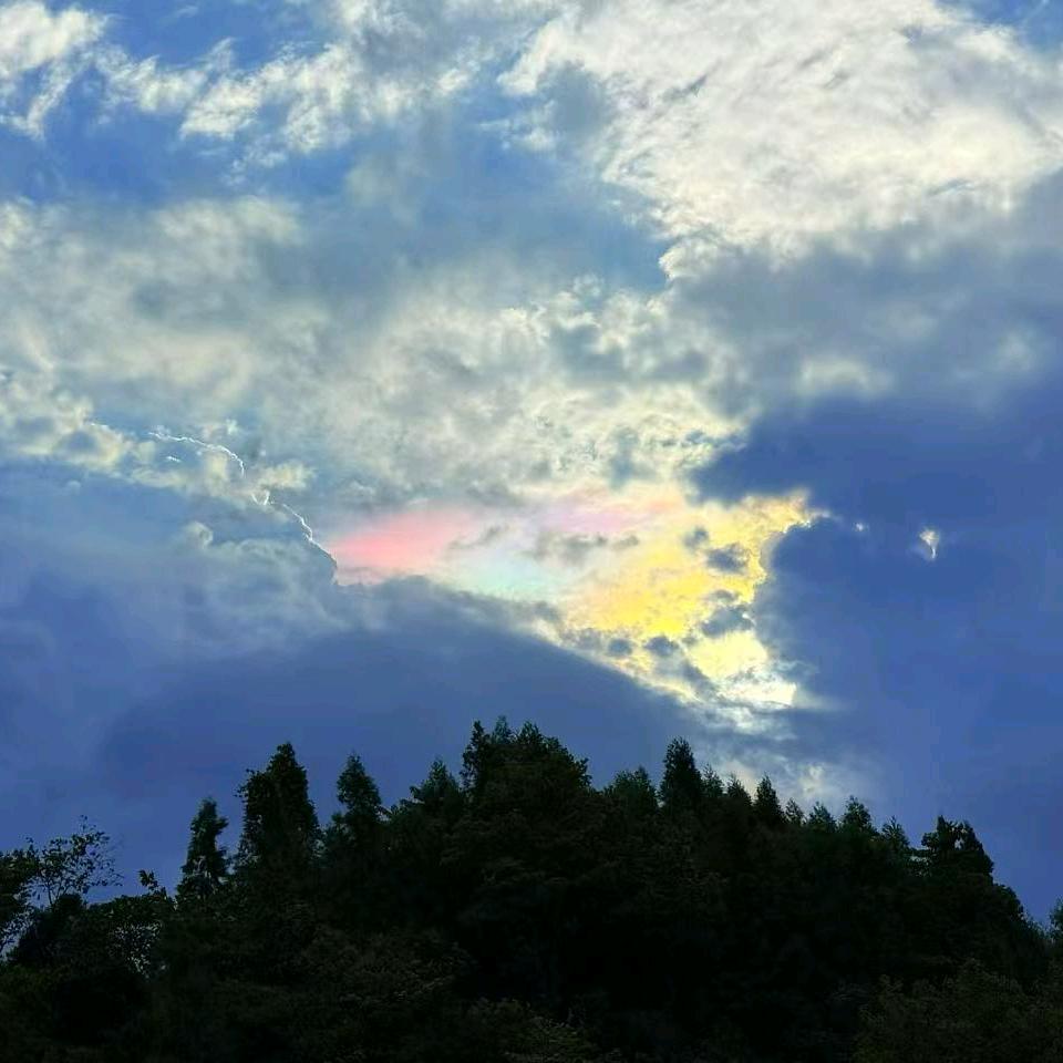 花，花
