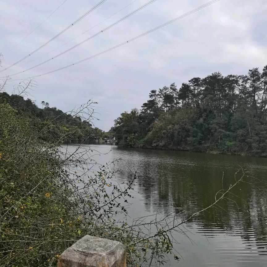 💞ঞᩚ云淡ꕥ້໌ᮨ风清💕