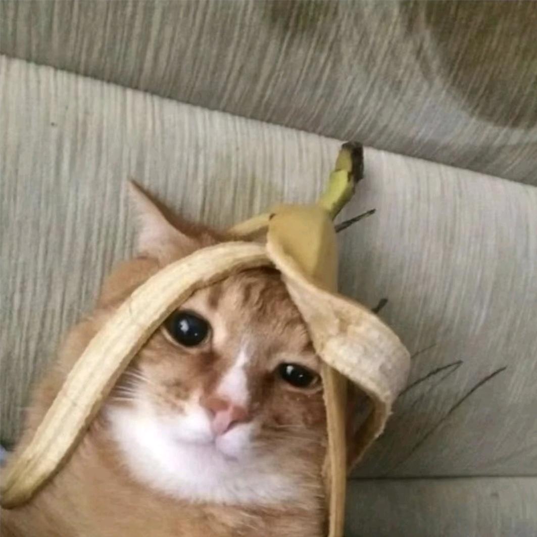 老回民