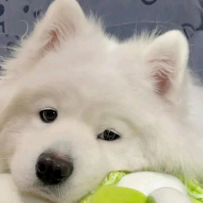 记得给我买螺蛳粉哦