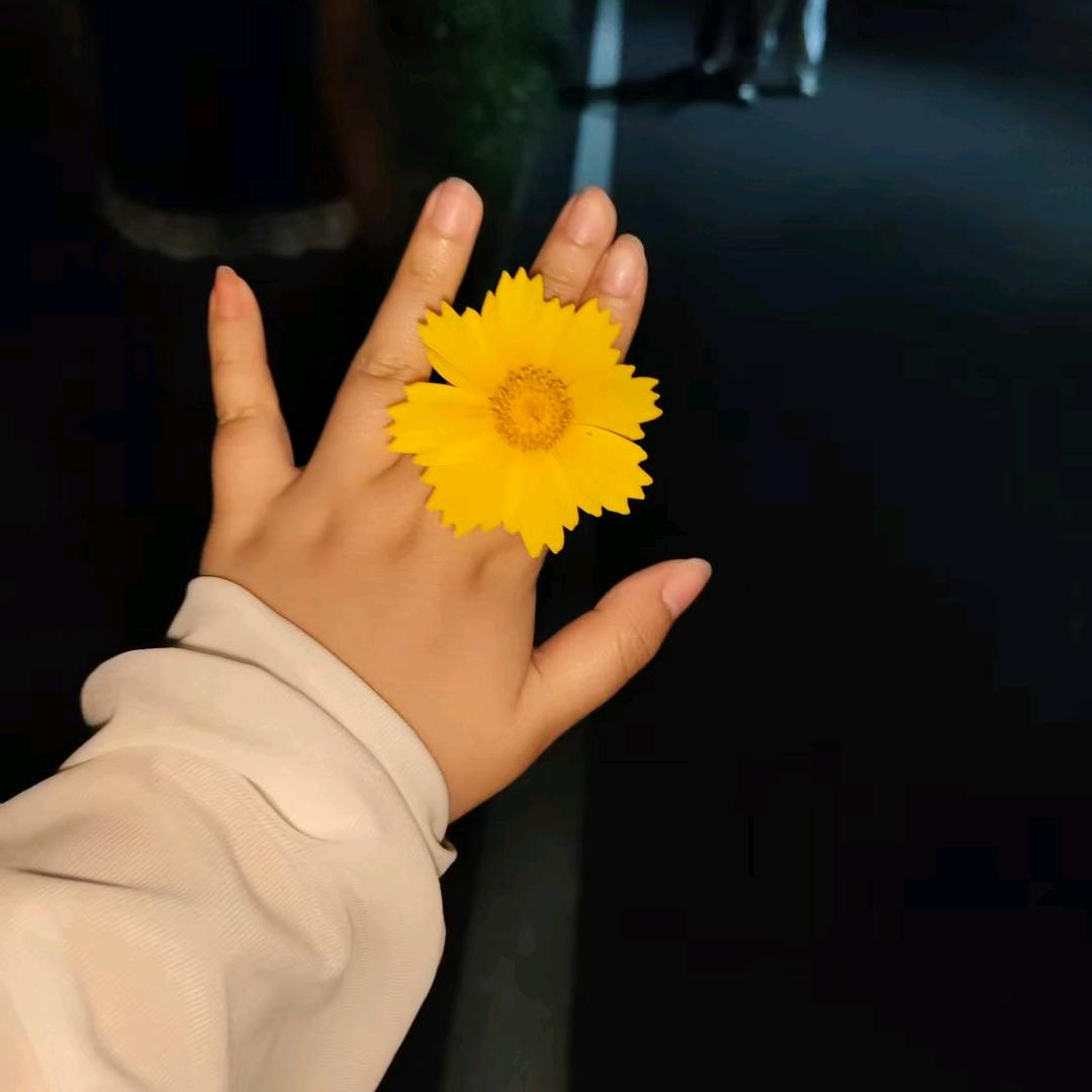 金银欢露