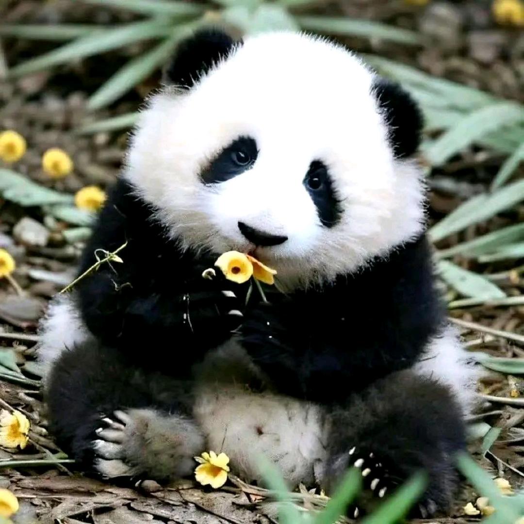 邱汐