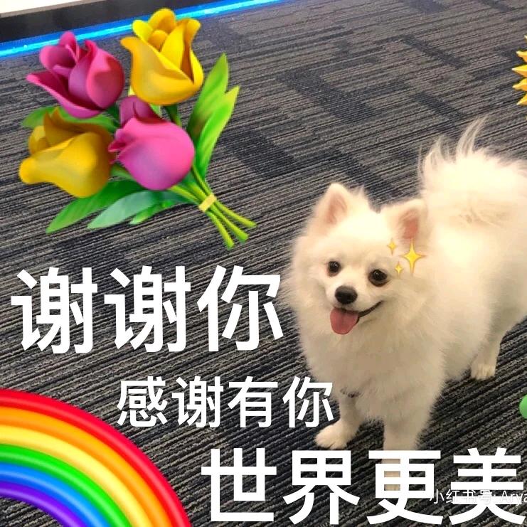 在难也要上岸