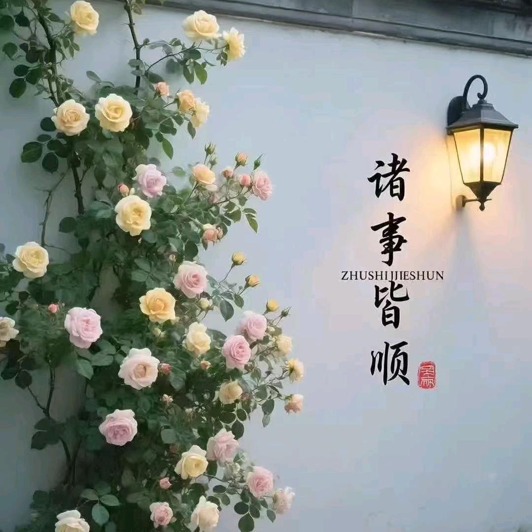 大爱无声❤️