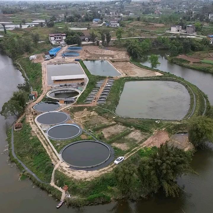 隆昌洪浩水产，徐半仙