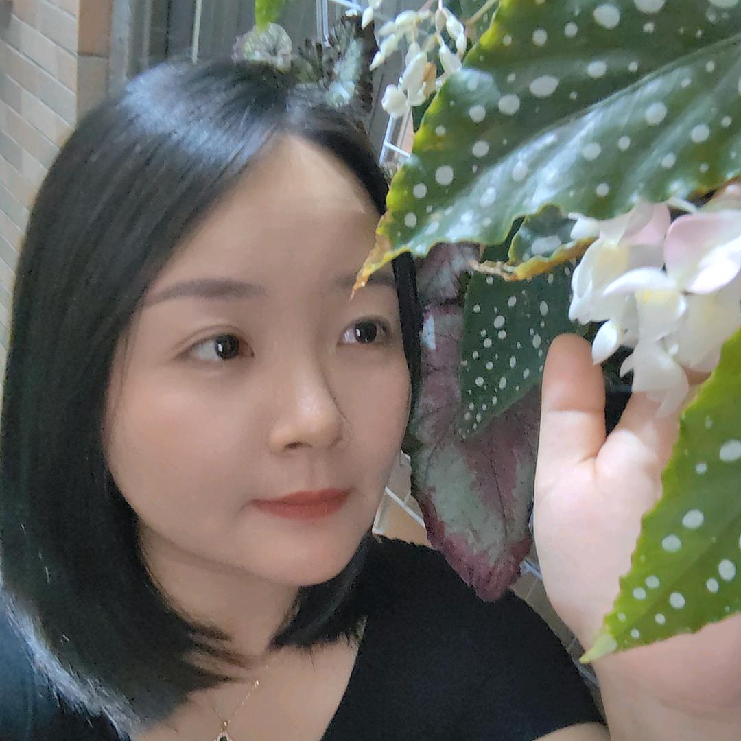 🍭棉花糖