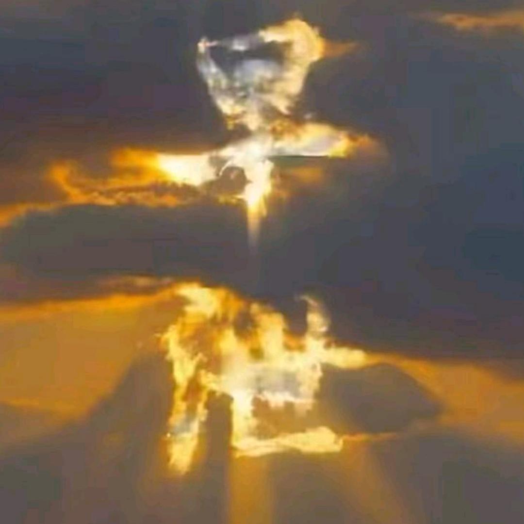 昕姐在广州