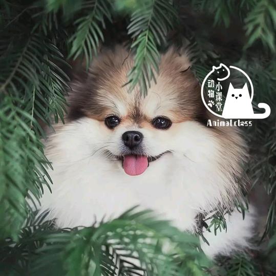 我