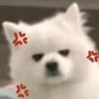 yan11111