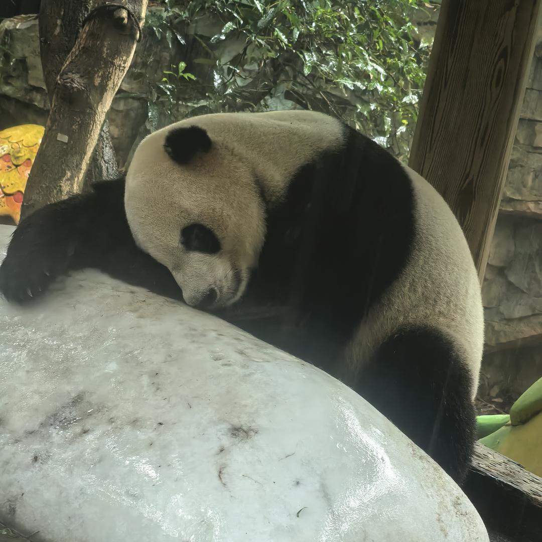 XW闭关修行