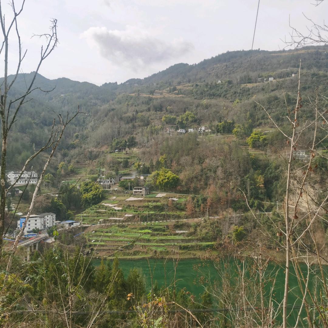 罗花生梓宁住我家