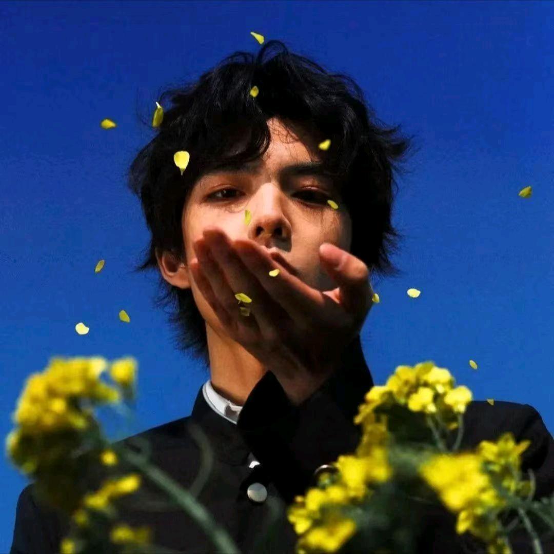 听风吹落叶🍀